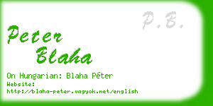 peter blaha business card