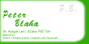 peter blaha business card